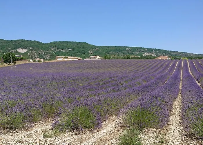 Holiday home Maison A La Campagne Bevons
